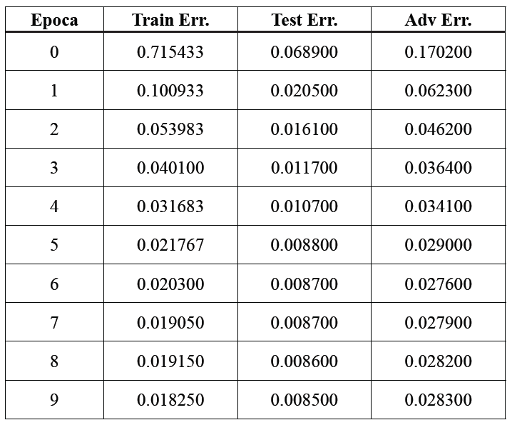 Set di dati di Adversarial Examples (Adv) che è stato generato per verificare l’addestramento