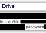 L'immagine mostra un frammento di un'interfaccia di Google Drive. Si vede parte di un URL di un file, che include la parola "password" alla fine. Il resto dell'URL e altri dettagli sono oscurati o tagliati.